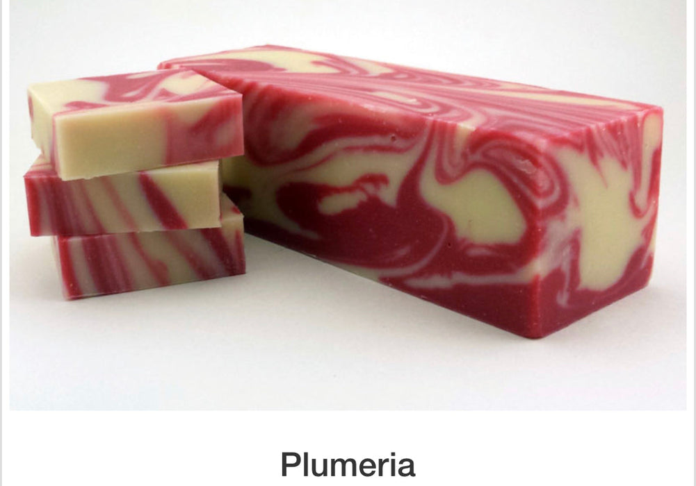 6 Soaps for $30 with FREE SHIPPING